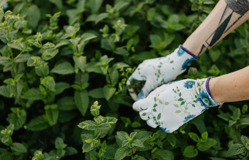 Gardening & Landscaping