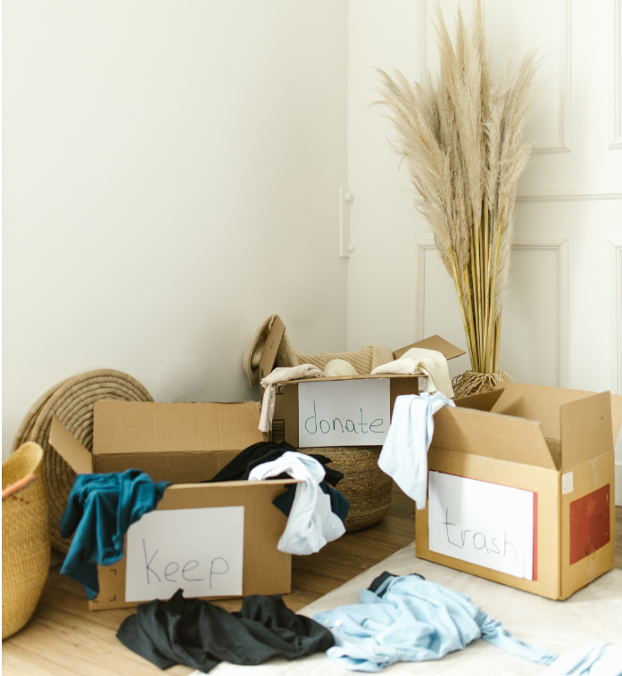 Organisation Service​